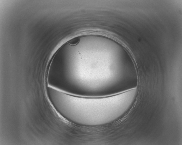 X0000079321533200611170917