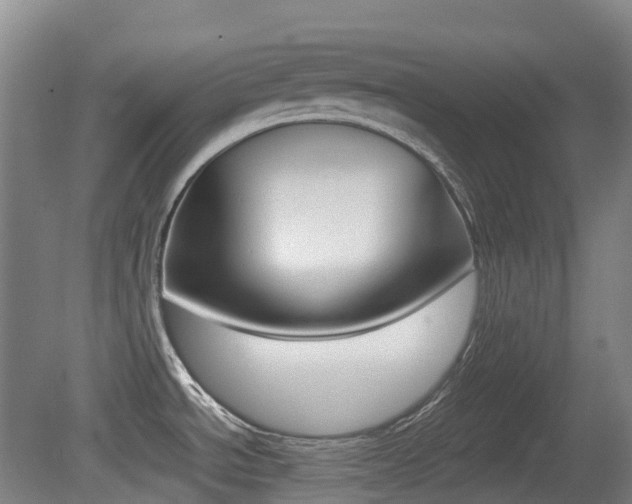 X0000079321534200611170917
