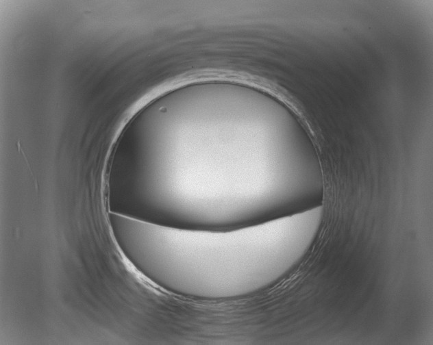X0000079321535200611170917