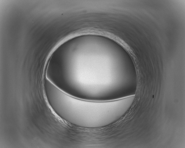 X0000079321536200611170917