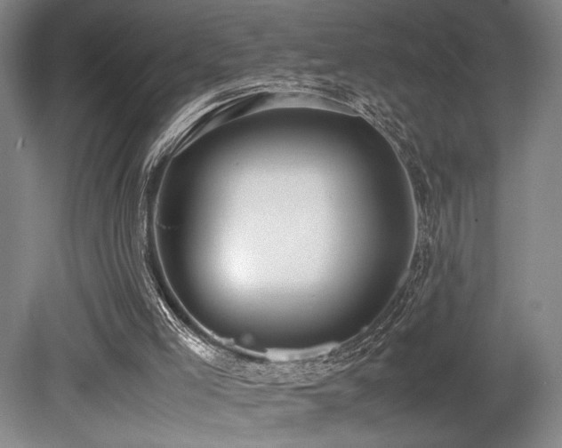 X0000079320005200611171135