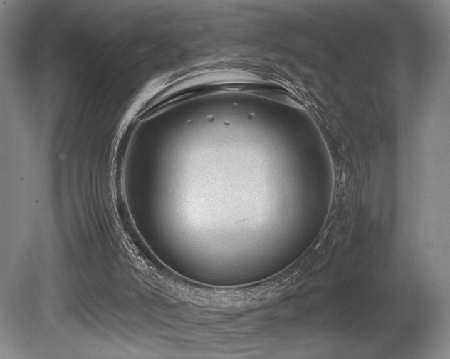 X0000079320006200611171135