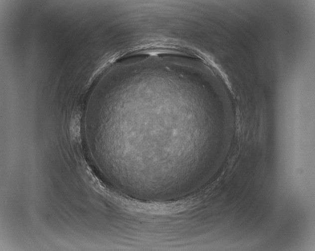 X0000079320010200611171135