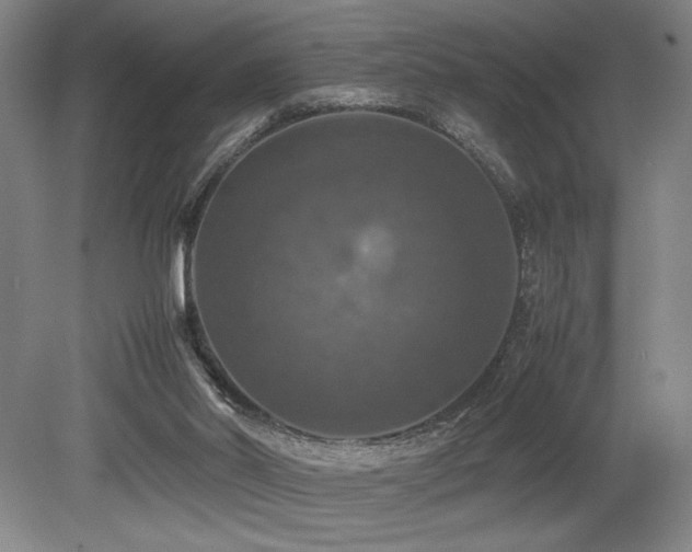 X0000079320014200611171135