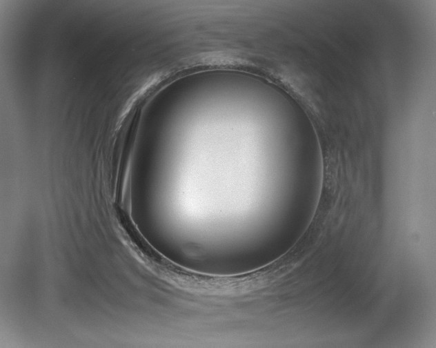 X0000079320015200611171135