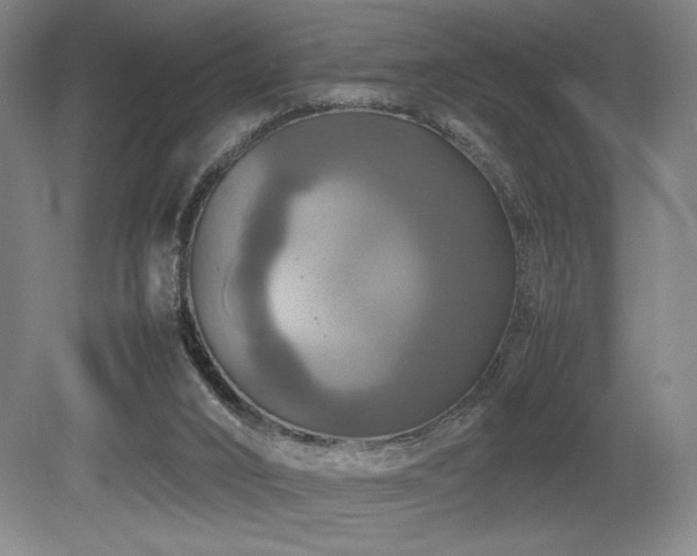 X0000079320016200611171135
