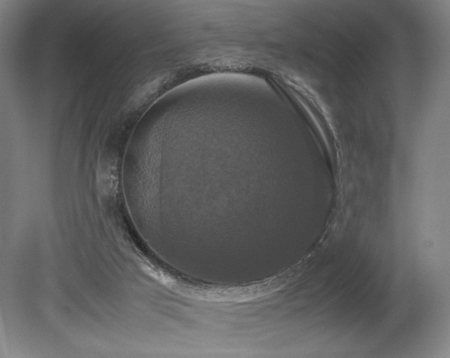 X0000079320017200611171135