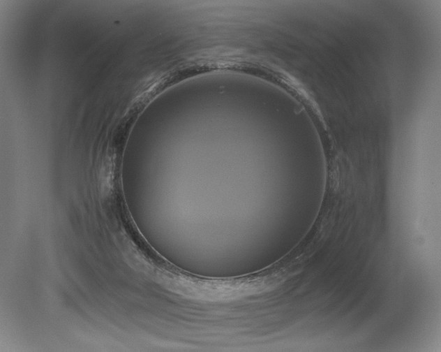 X0000079320018200611171135