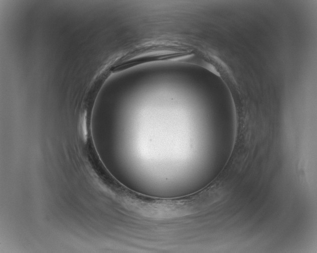 X0000079320020200611171135