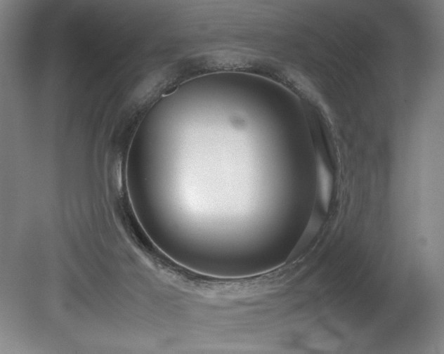 X0000079320021200611171135