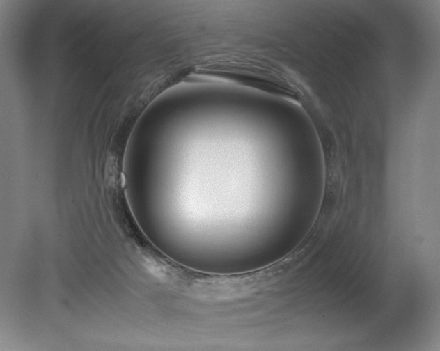 X0000079320025200611171135