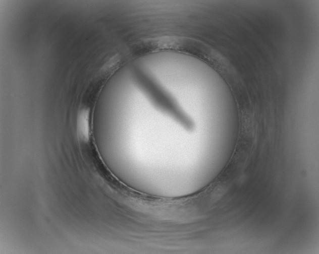 X0000079320028200611171135