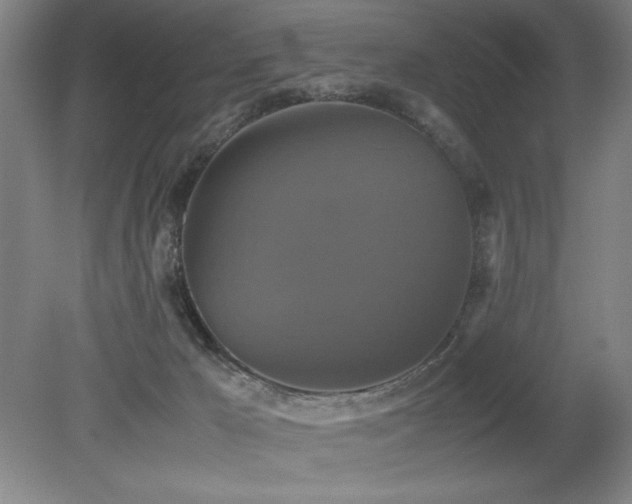 X0000079320029200611171135