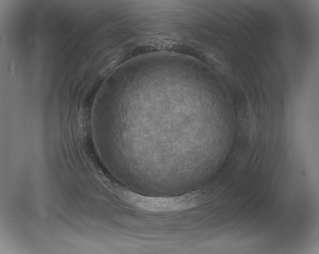 X0000079320034200611171134