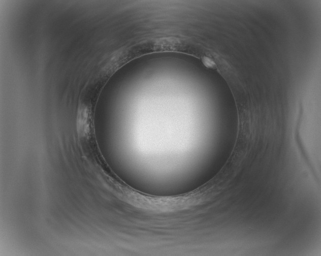 X0000079320038200611171134