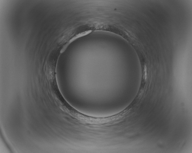 X0000079320039200611171134