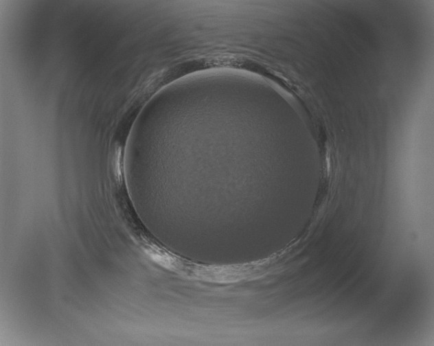 X0000079320041200611171134
