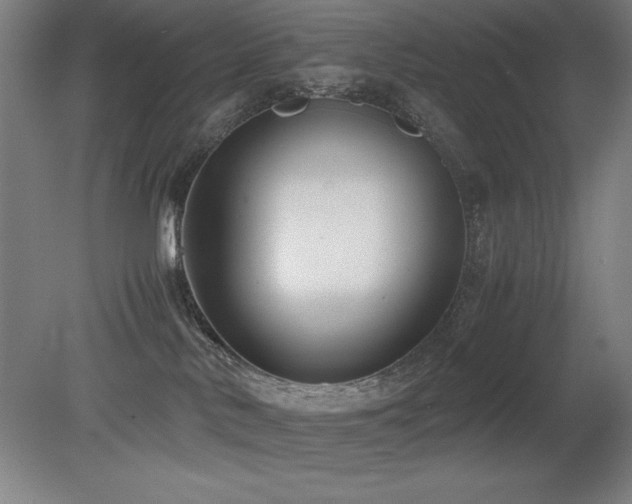 X0000079320042200611171134