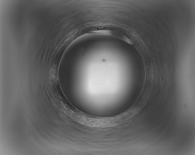 X0000079320044200611171134