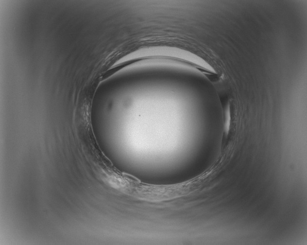 X0000079320045200611171134
