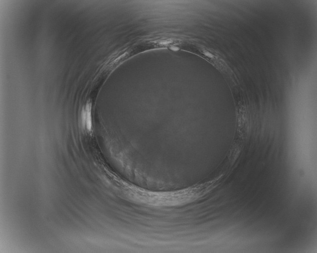 X0000079320046200611171134