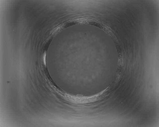 X0000079320047200611171134