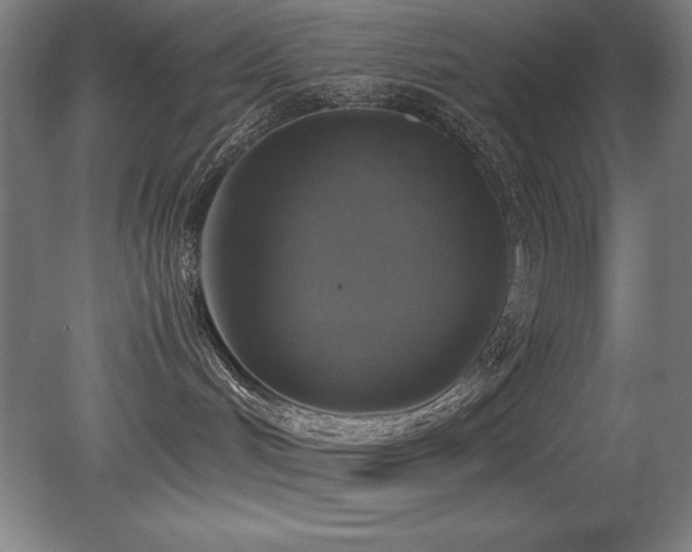 X0000079320048200611171134