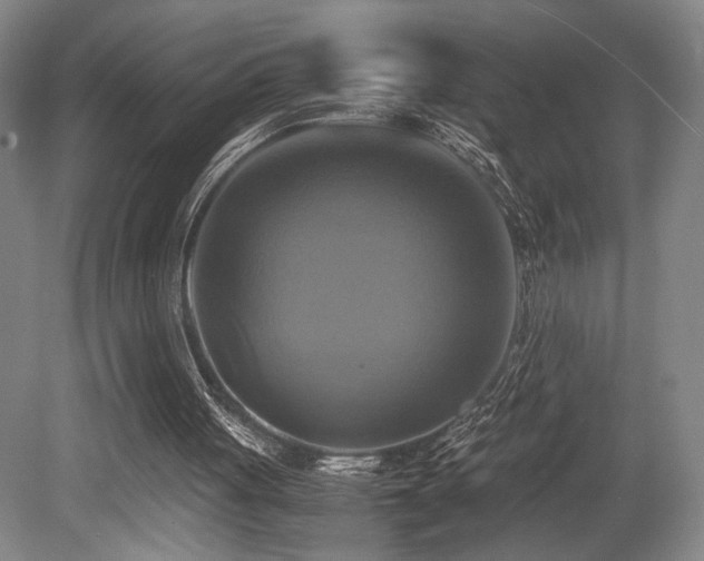 X0000079320051200611171133