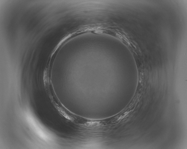 X0000079320052200611171133