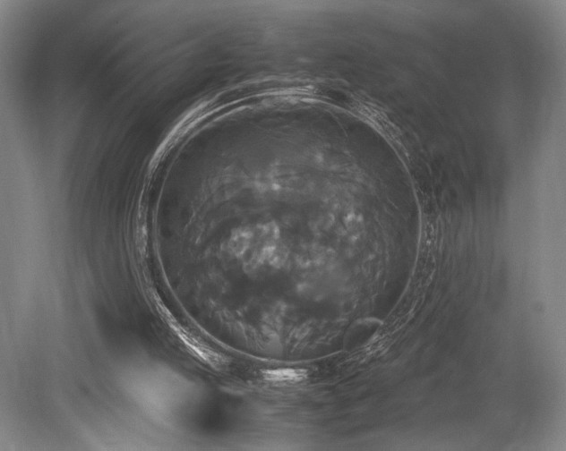 X0000079320053200611171133