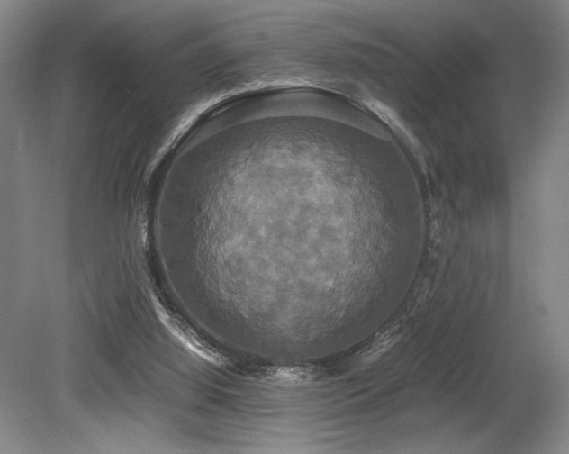 X0000079320060200611171134