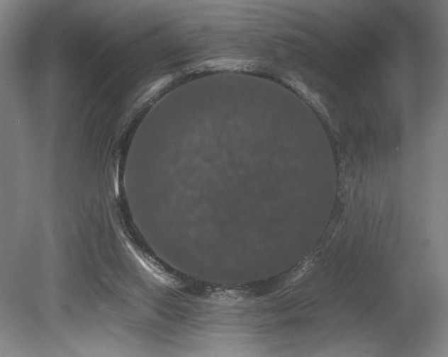 X0000079320062200611171134