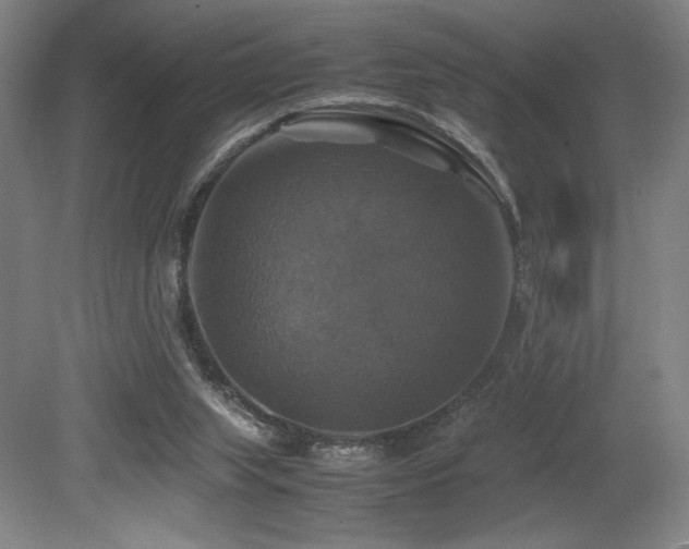 X0000079320063200611171134