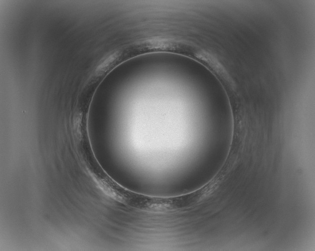 X0000079320066200611171134