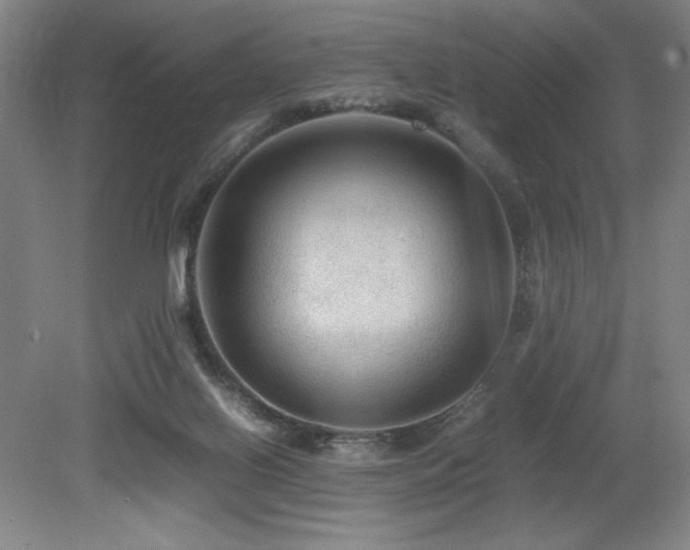 X0000079320070200611171134