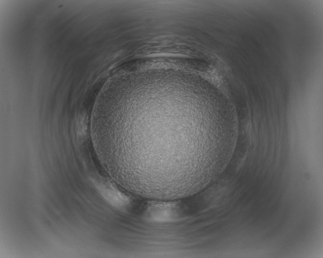 X0000079320081200611171134