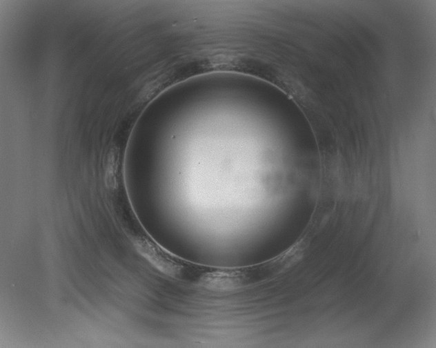 X0000079320082200611171134
