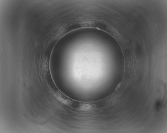 X0000079320083200611171134