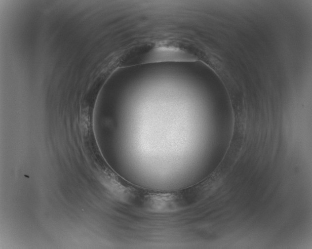 X0000079320085200611171134