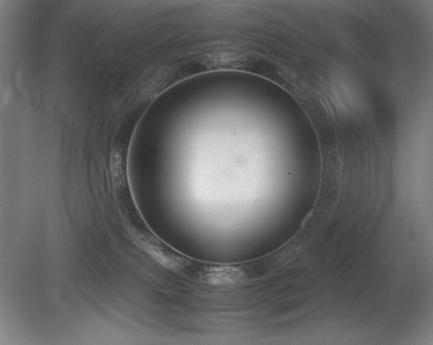 X0000079320087200611171134