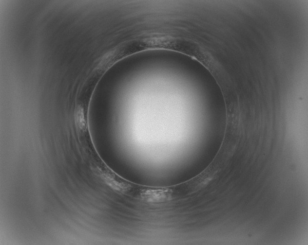 X0000079320089200611171134