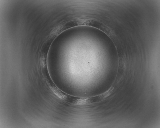 X0000079320090200611171134