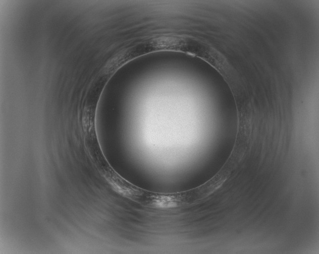 X0000079320091200611171134