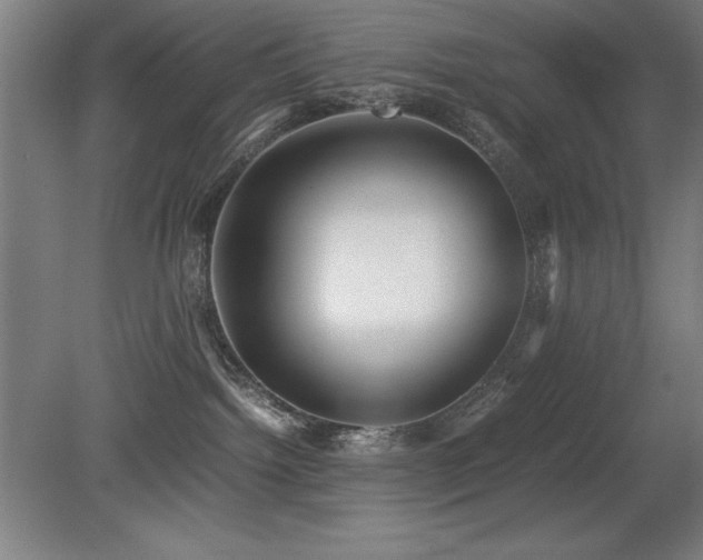 X0000079320092200611171134