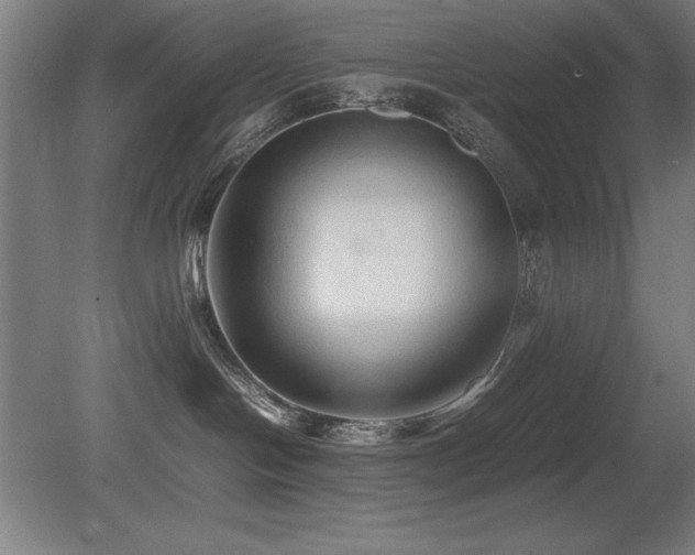 X0000079320094200611171134