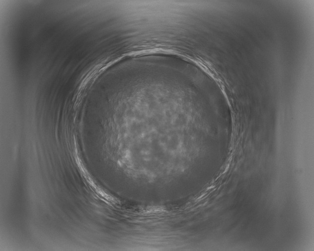 X0000079320097200611171133