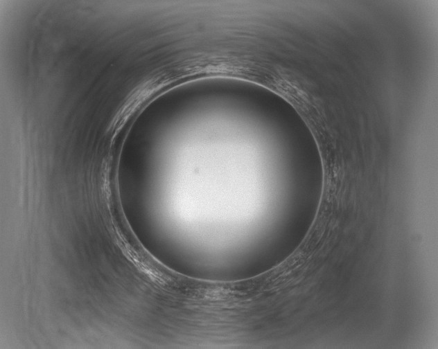 X0000079320098200611171133