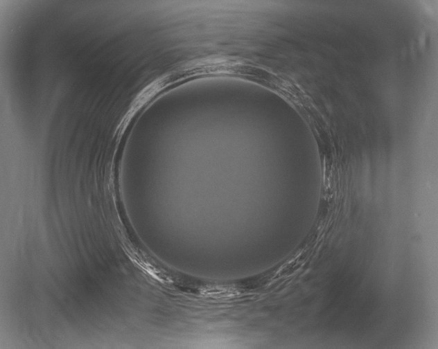 X0000079320099200611171133