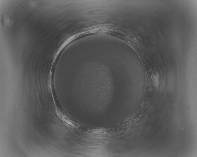 X0000079320100200611171133