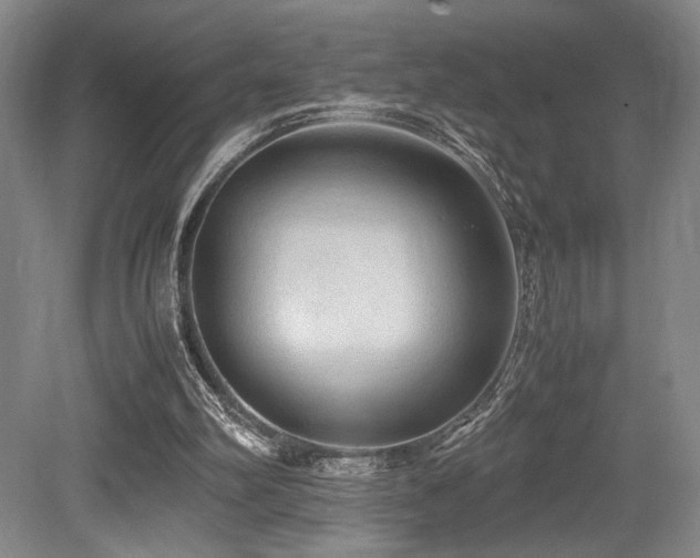 X0000079320102200611171133